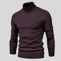 HEIN | Comfortable Turtleneck Sweater