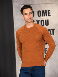 VAN TILBURGH™ | Men's Sweater with Checkered Design - Retail Flare